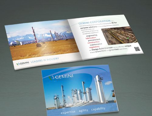 Gemini Company Brochure